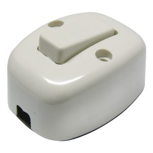 136559 Apagador sencillo visible oval 6A 127V Surtek