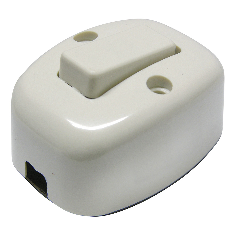 136559 Apagador sencillo visible oval 6A 127V Surtek