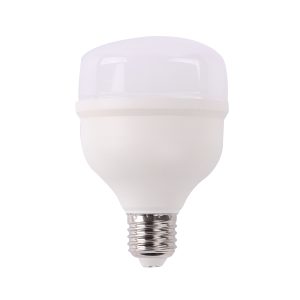 LAP20 Lámpara de LED alta potencia, 20 W Foy