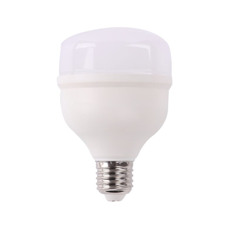 LAP20 Lámpara de LED alta potencia, 20 W Foy