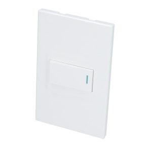 P619B Placa con 1 apagador blanco 1/3 Surtek.